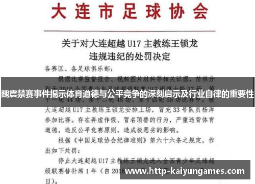 魏震禁赛事件揭示体育道德与公平竞争的深刻启示及行业自律的重要性